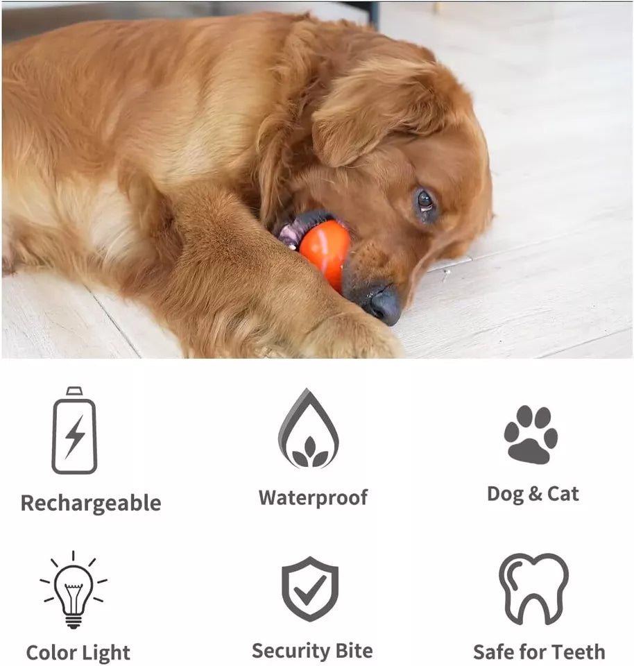 BounceBuddy™ - Interactive Dog Ball