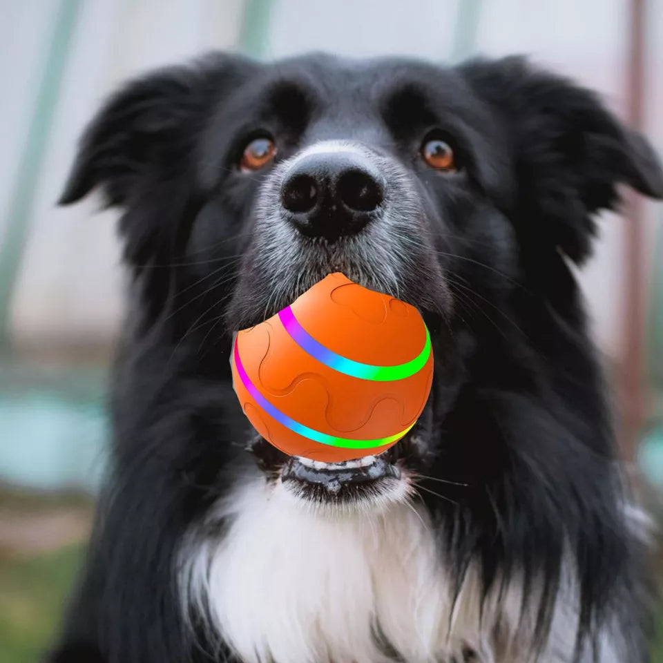 BounceBuddy™ - Interactive Dog Ball